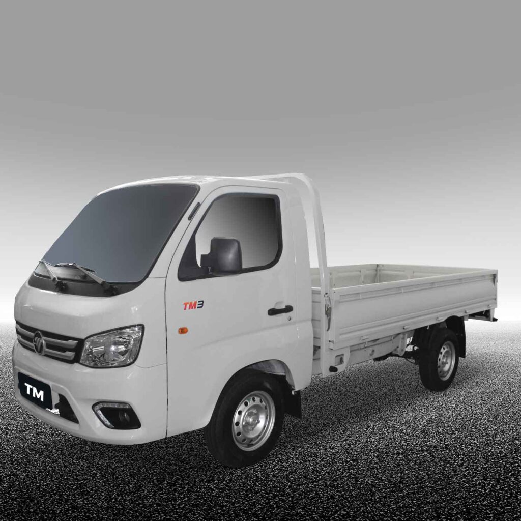 TM1 Cabina Simple - PickUp